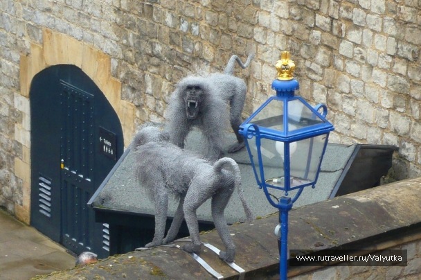 photo 459079