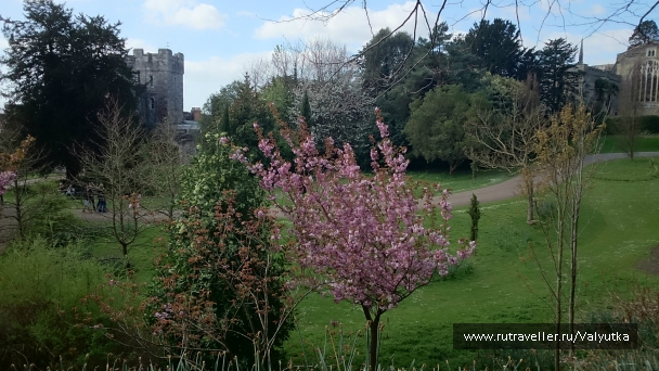 photo 731101