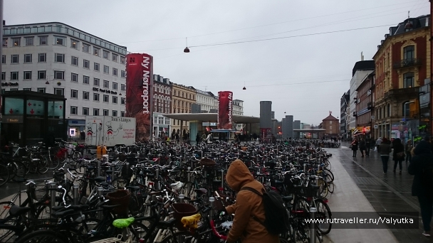 photo 1016569