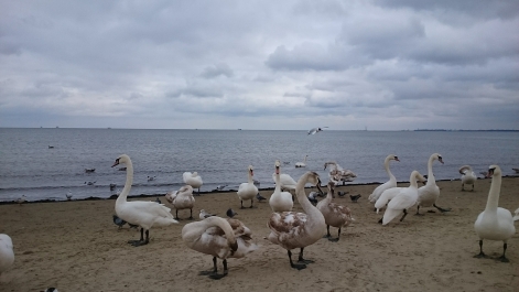 photo 1259149