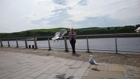 photo 1628230