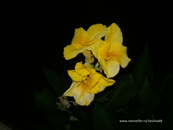 photo 1064769