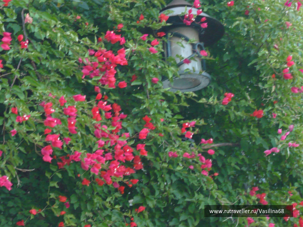 photo 1064771