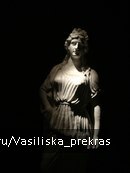 photo 257542