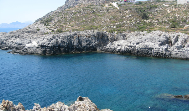 IMG_2304 (2)