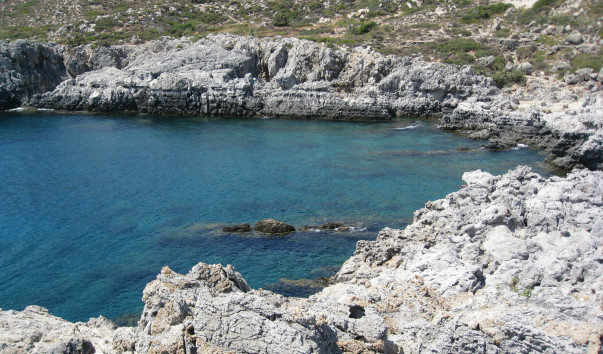 IMG_2302 (2)