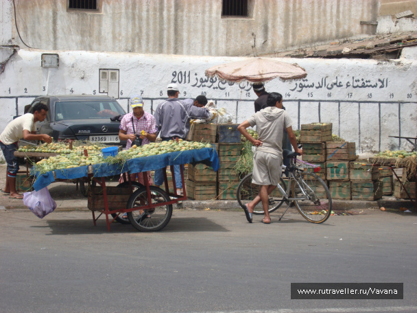 photo 75969