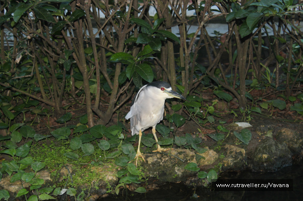 photo 56377