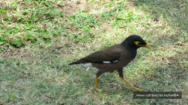 photo 420995