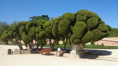 photo 1112104
