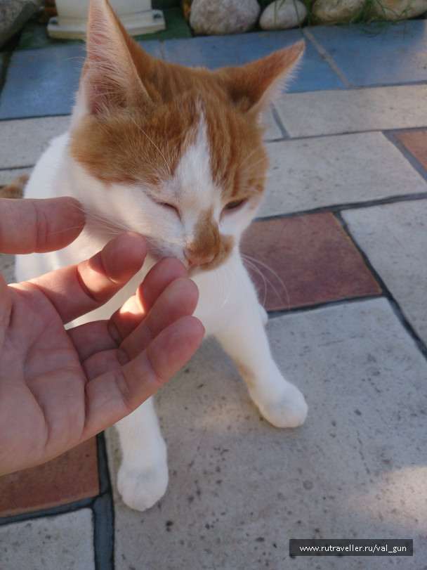 photo 1373172