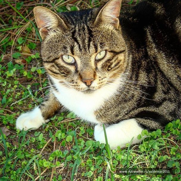 photo 1392402