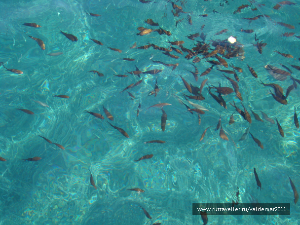 photo 1042581