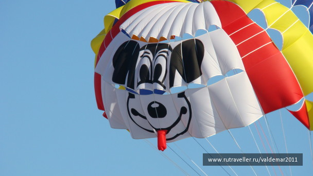 photo 1046966