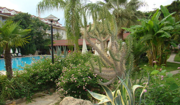 DSC03949