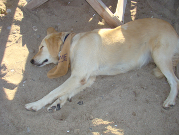 photo 1386496