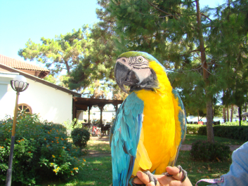 photo 1386509