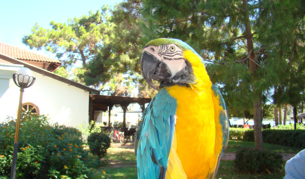 DSC06901