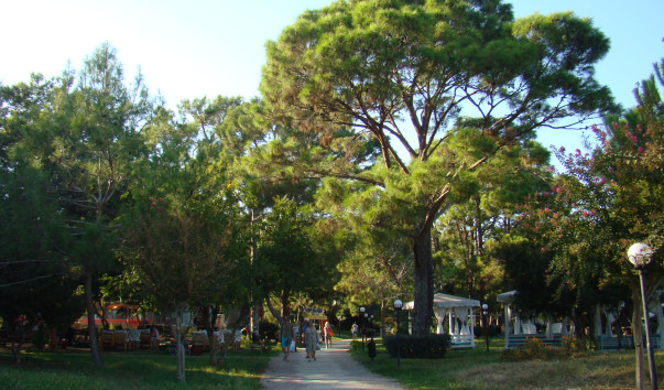 DSC07053