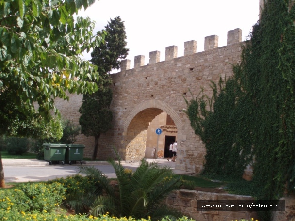 photo 87783