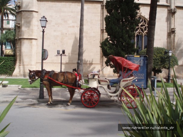 photo 87792