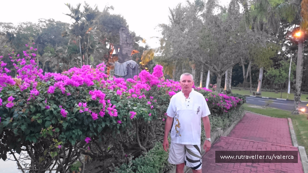photo 1242376
