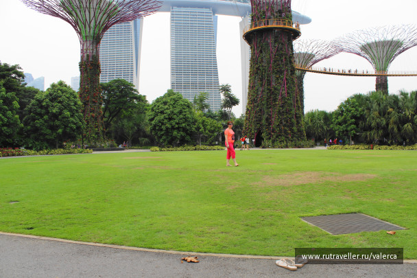 photo 1242428