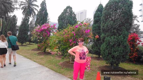 photo 1242461