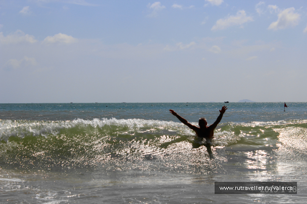 photo 1242534