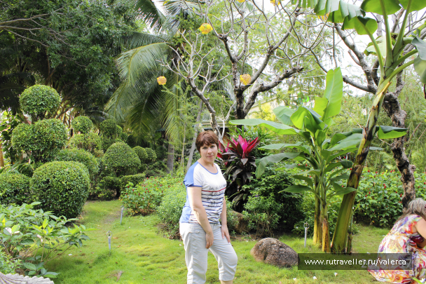 photo 1242546