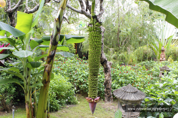photo 1242547