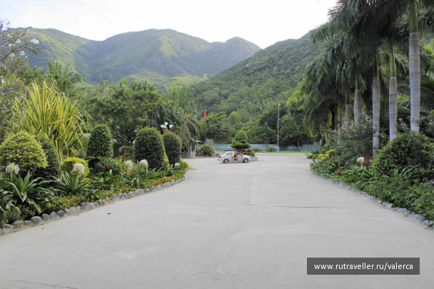 photo 1242571