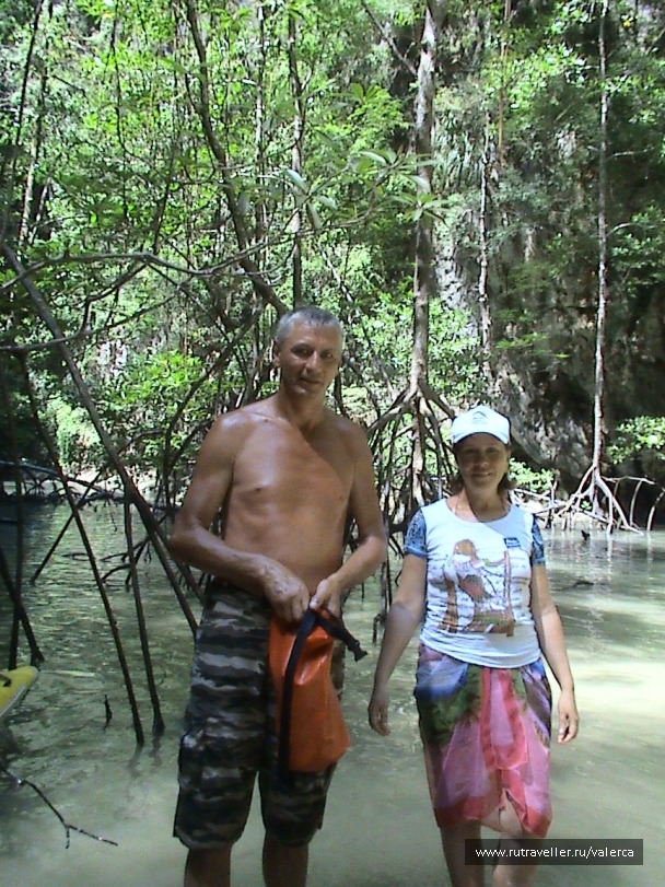 photo 1242604