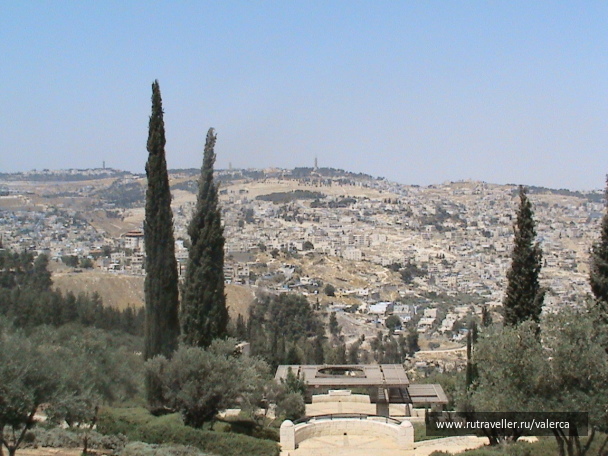 photo 1244633