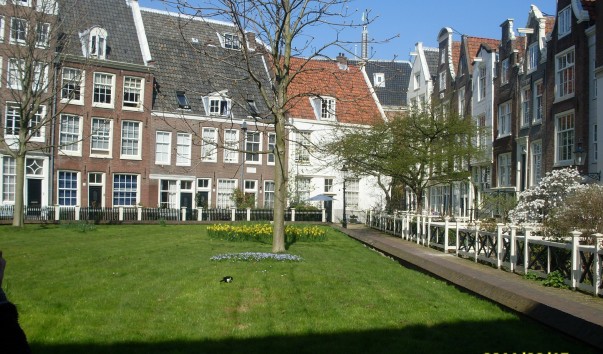 SDC12584