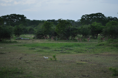 photo 668476