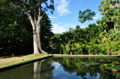photo 788773