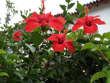 photo 1084711