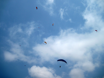 photo 1084723