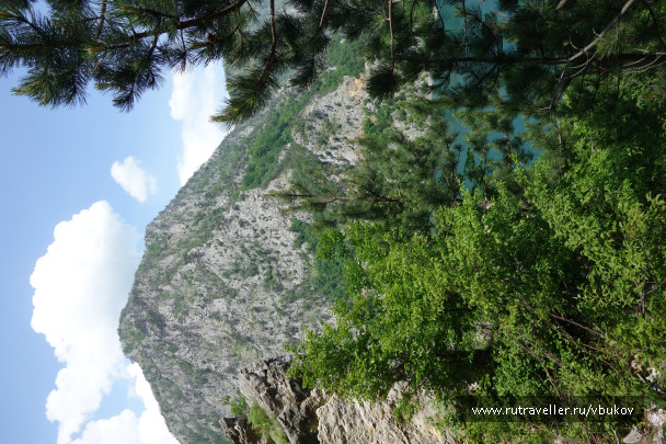 photo 1007393