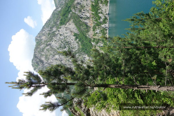 photo 1007394