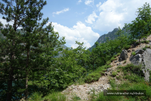 photo 1007397