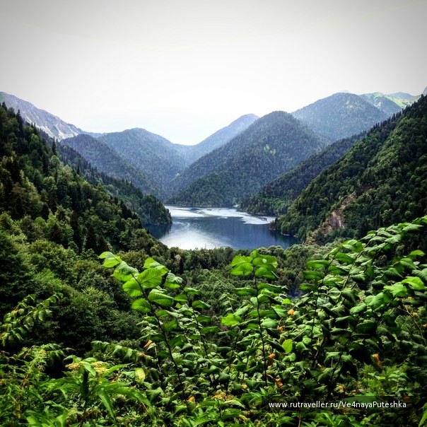 photo 1237842