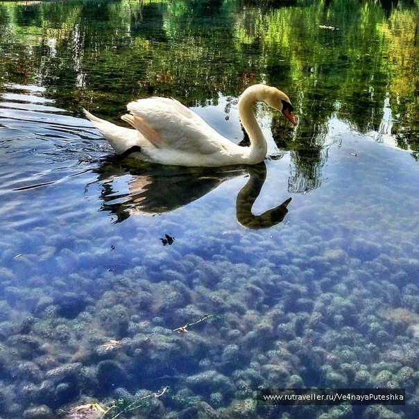 photo 1237854