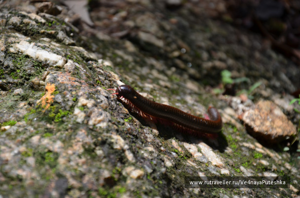 photo 1238145