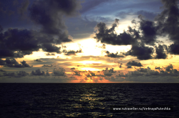 photo 1238148
