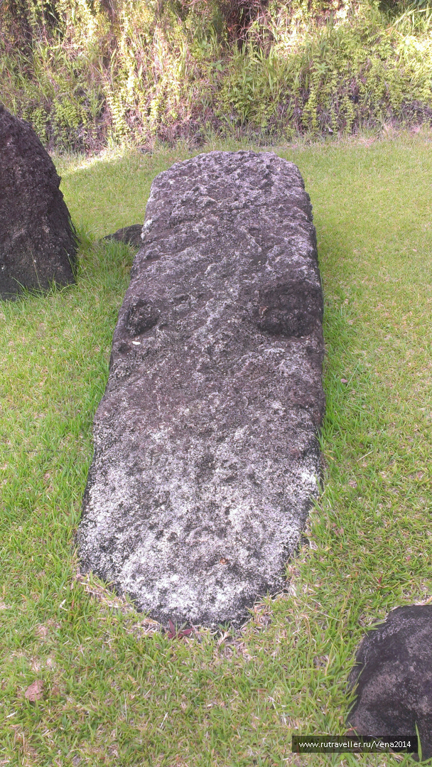 photo 1198138