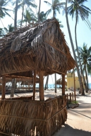 photo 962877