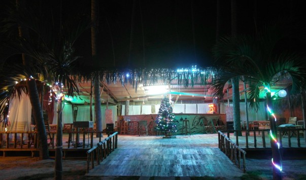 Venus Lounge Bar Muine new year tree