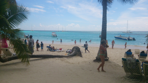 photo 1469746